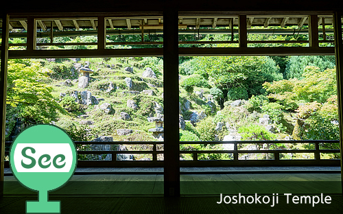 観る：常照皇寺