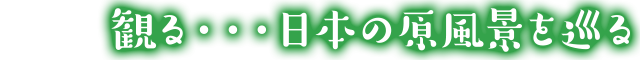 観る・・・日本の原風景を巡る